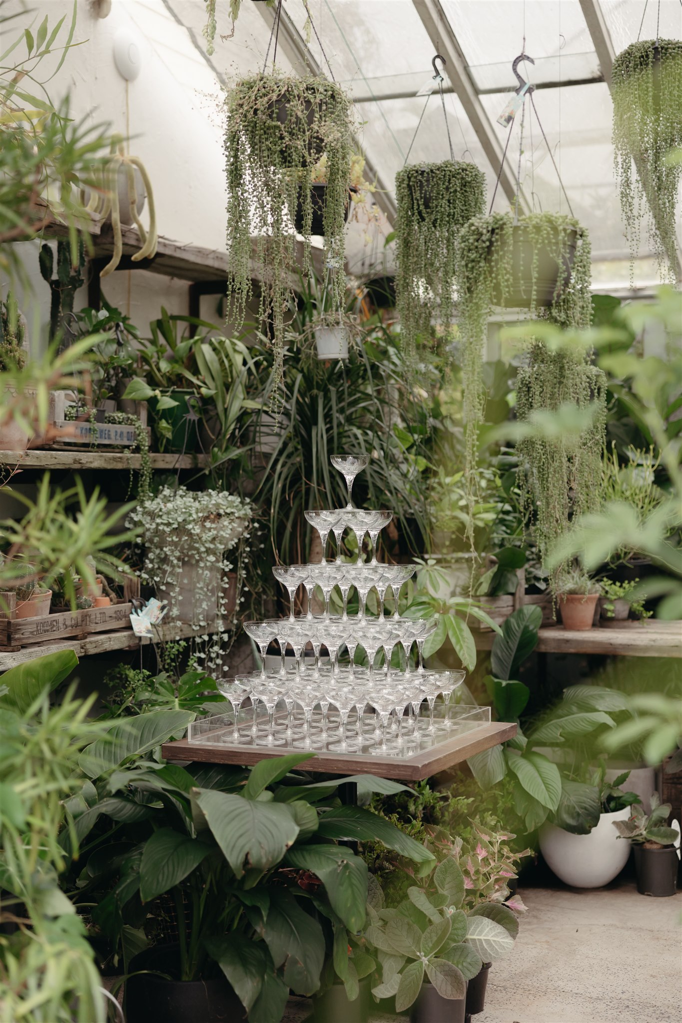 Champagne Tower at Glasshaus design