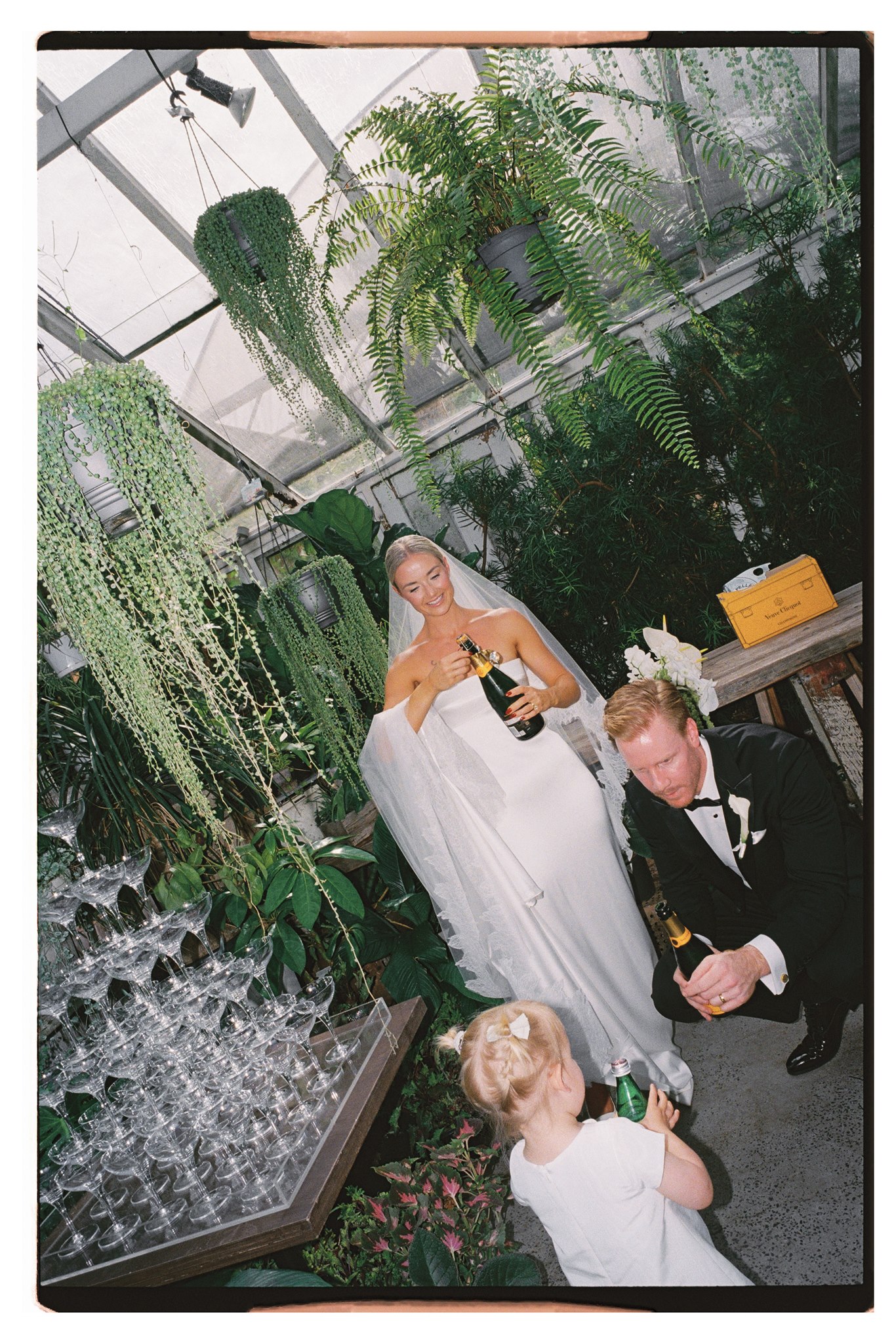 Film photo of champagne tower