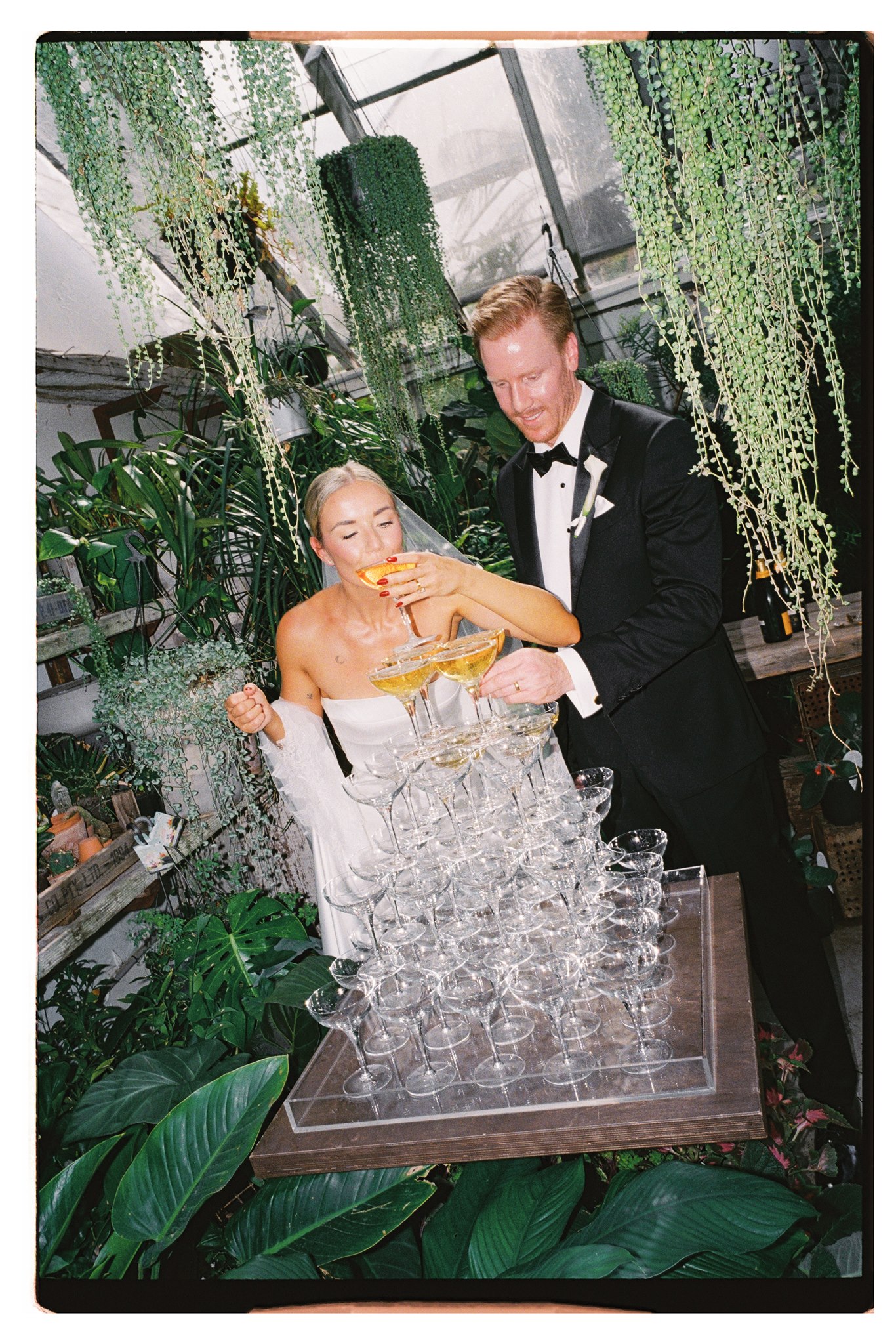 Film photo of champagne tower