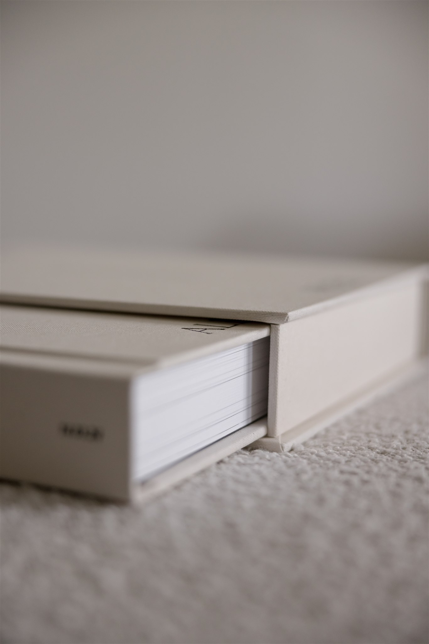 Luxury Fine Art Wedding Album